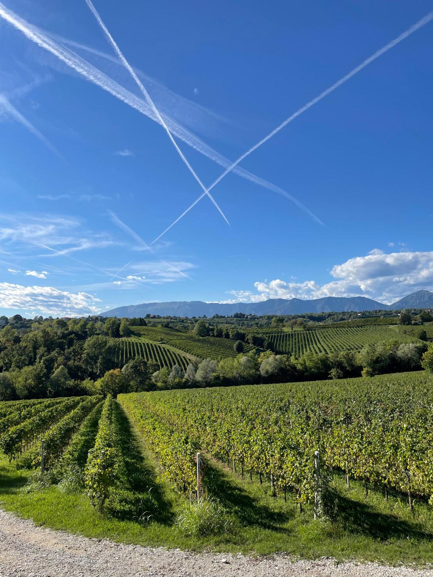Tenuta Malvolti - Al Vecchio Convento San Fior di Sopra Ngoại thất bức ảnh